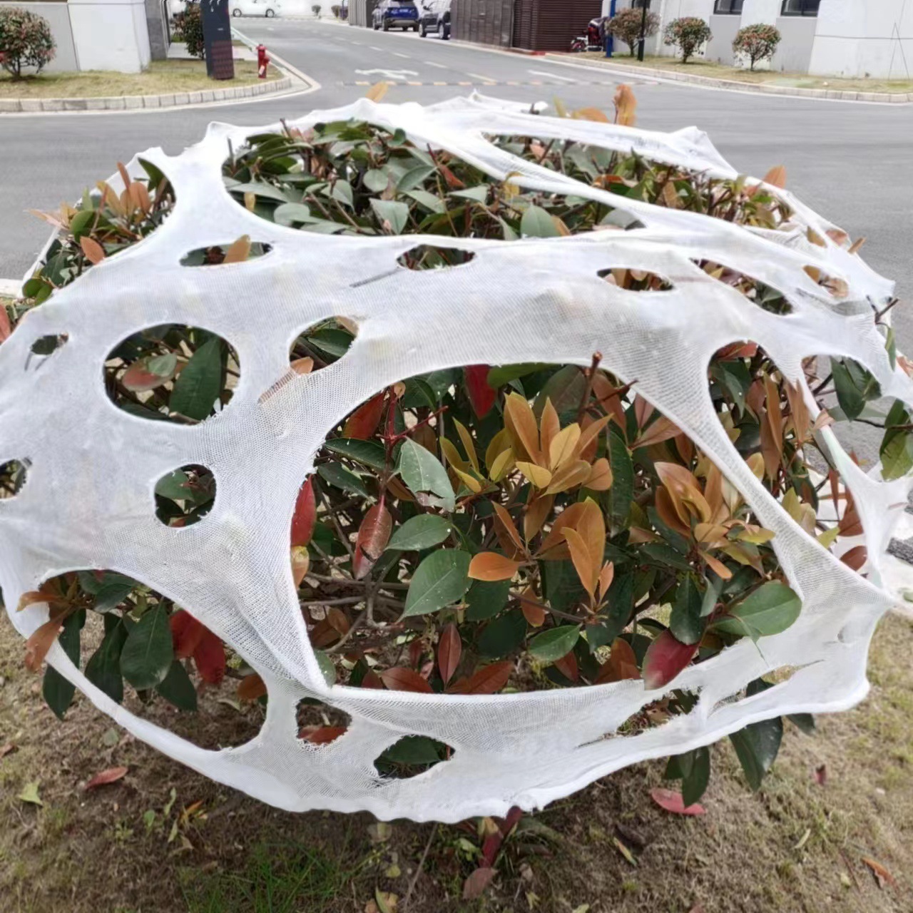 Amazon New Halloween Stretch Decorative Cloth Halloween Spider Web Ghost Festival Spider Web Cloth