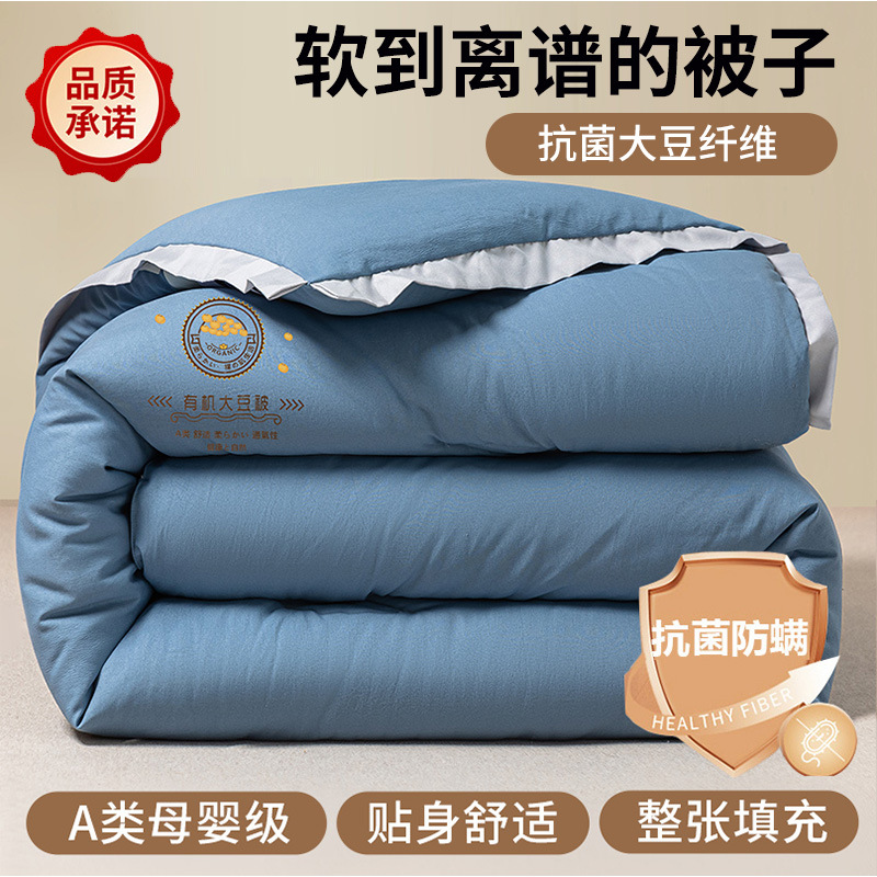 Picture of Soybean Fiber Quilt Winter Quilt Thickened Warm Winter Quilt Core Quilt Autumn Winter Quilt Spring and Autumn Quilt Single Winter