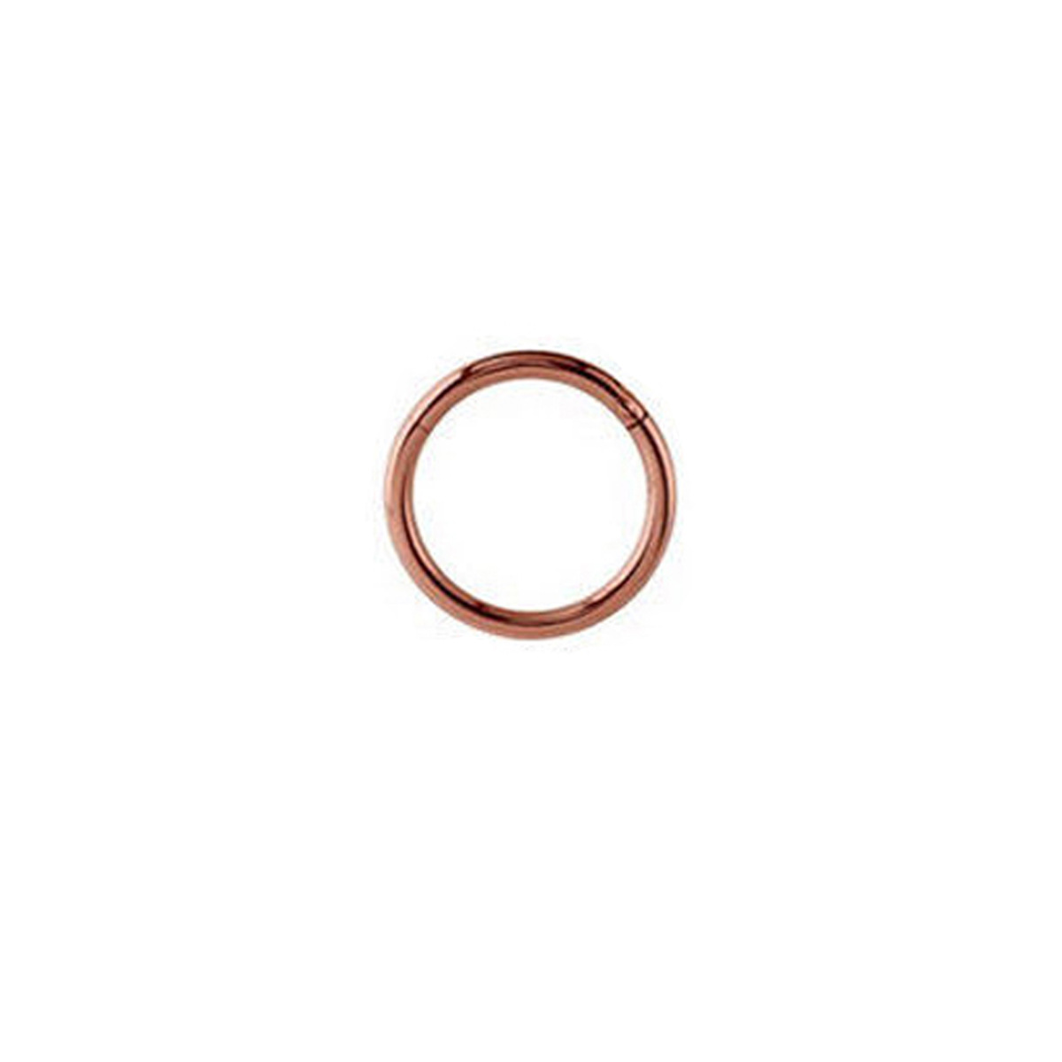 Picture of G23 Titanium Alloy Seamless Closed Ring Lip Ring Nasal Septum Colorful Nose Ring Multi-Purpose Ring Ear Bone Ring Piercing Jewelry