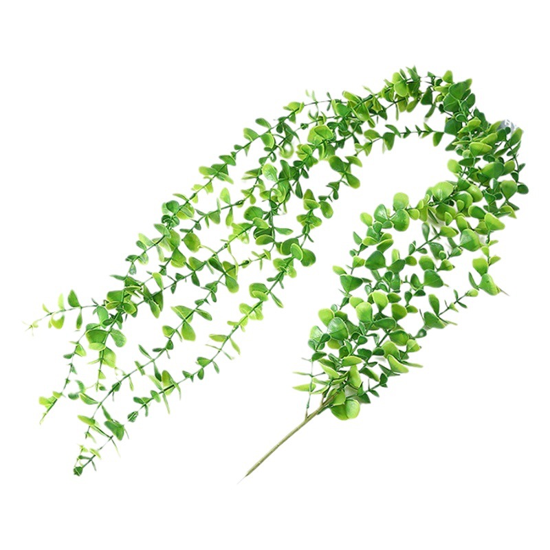 Duofu Simulated Plant Eucalyptus Wall Hanging Vine Hotel Wall Ceiling Decorative Rattan Money Leaf Rattan