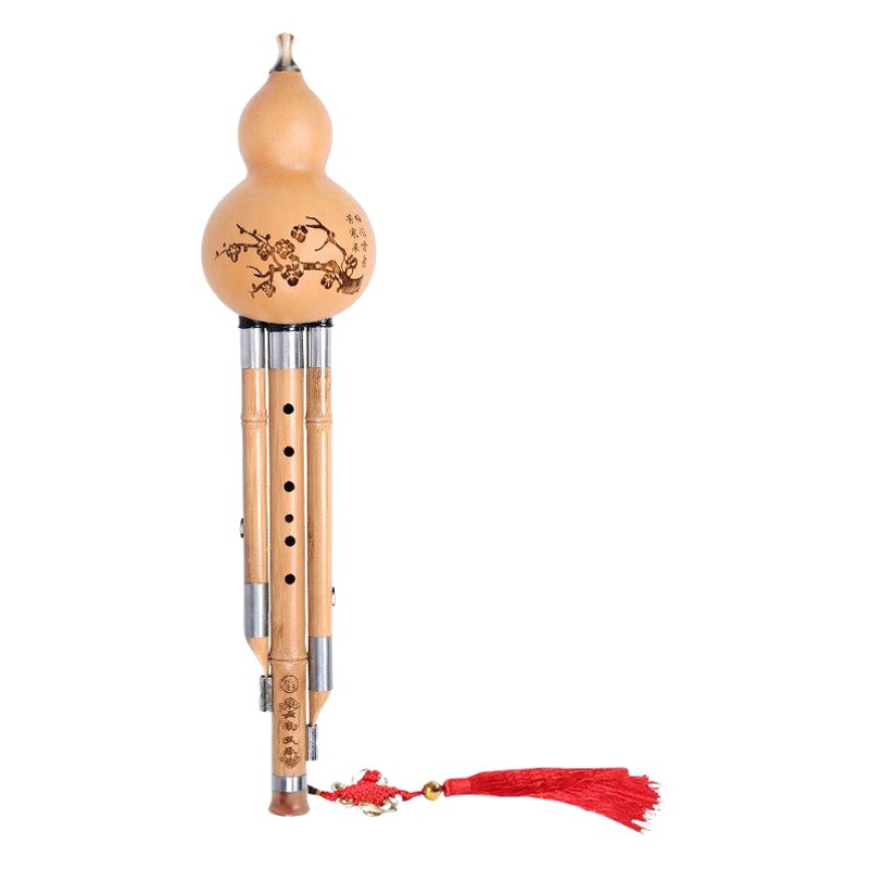 Jinsi Nanzhu Hulusi C Decrease B Adult Beginners Primary School Children Self-taught Playing Musical Instruments