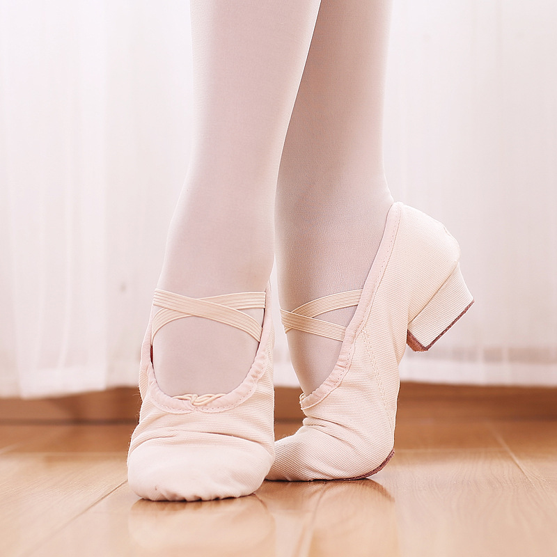 Picture of Dance Shoelaces with Soft Sole Canvas Teacher Shoes Belly Dance Shoes Body Etiquette Training Shoes Adult Ballet Shoes Cross Border