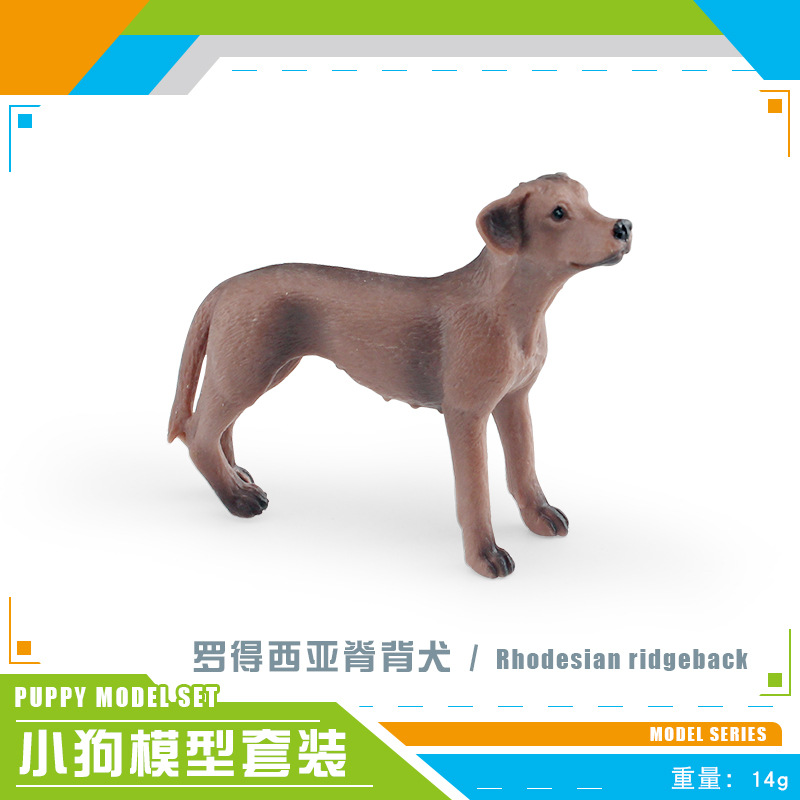Picture of Cross-border simulation pet dog animal model pastoral dog poodle Chihuahua dog lion hunting dog static ornaments