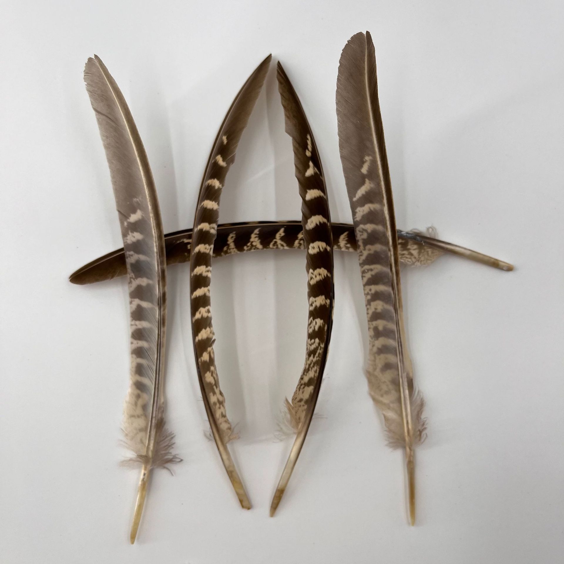 Picture of A large number of manufacturers in stock supply mother mountain chicken nest feather DIY bagging feathers Amazon for real feathers