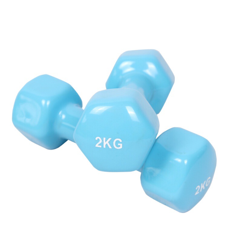 Factory Hexagonal Solid Small Dumbbells Dipped in Plastic Dumbbells Plastic Coated Cast Iron Women's Fitness Home Small Weight Dumbbells