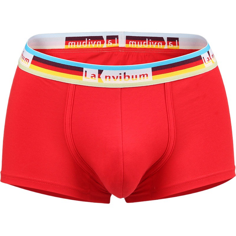 In stock LANVIBUM men's underwear boxers cotton mid-waist rainbow belt sexy trendy men's sexy boxer short