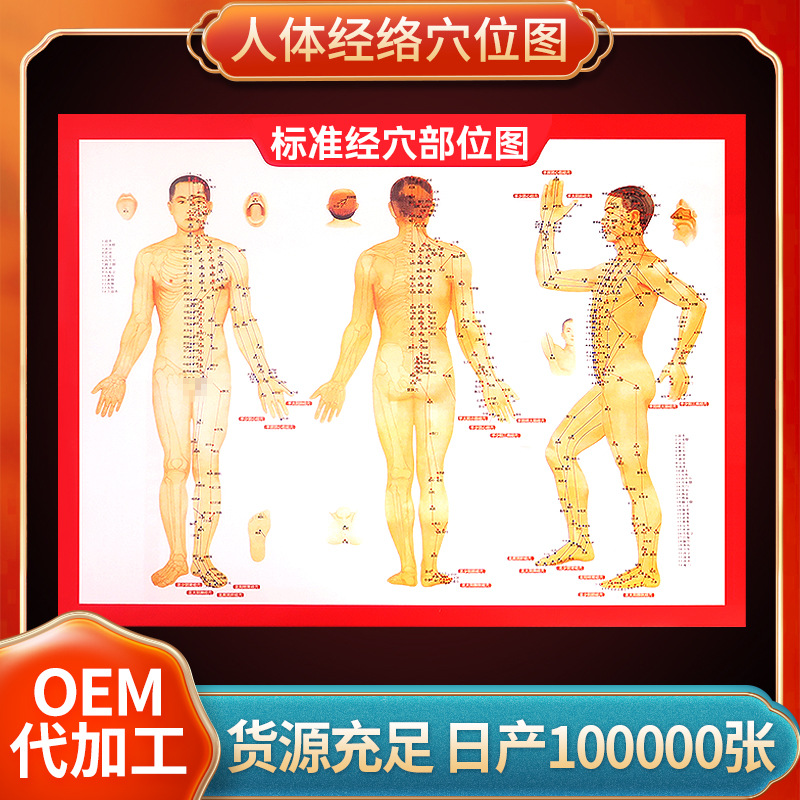64 open high-definition human body acupoint map factory wholesale human body Meridian acupoint book moxibustion reference map moxibustion map