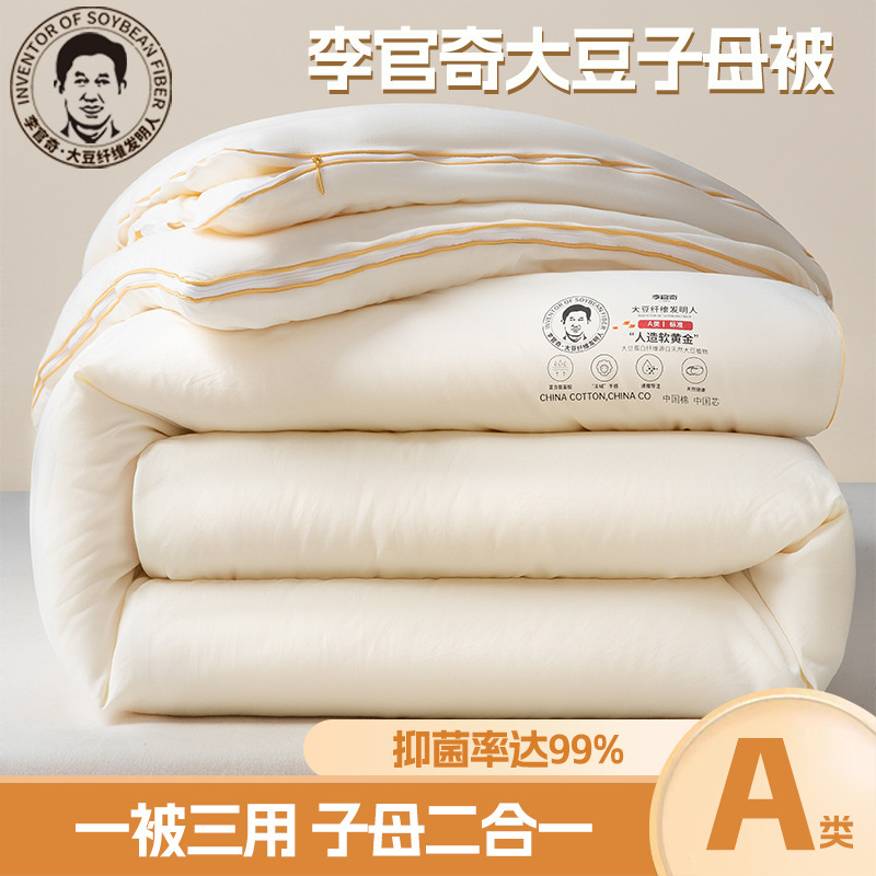 Class A Li Guanqi soybean quilt soybean fiber quilt core thickened winter quilt warm quilt core gift wholesale