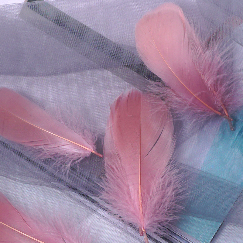Picture of Macaron color feather decoration goose feather large and medium floating dream catcher gift box filled bouquet diy handmade material