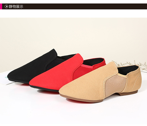 Canvas Indoor and Outdoor Exercise Shoes Dance Shoes Soft Sole Teacher Shoes Adult Gymnastics Shoes Ballet Shoes Dance Shoes for Men and Women