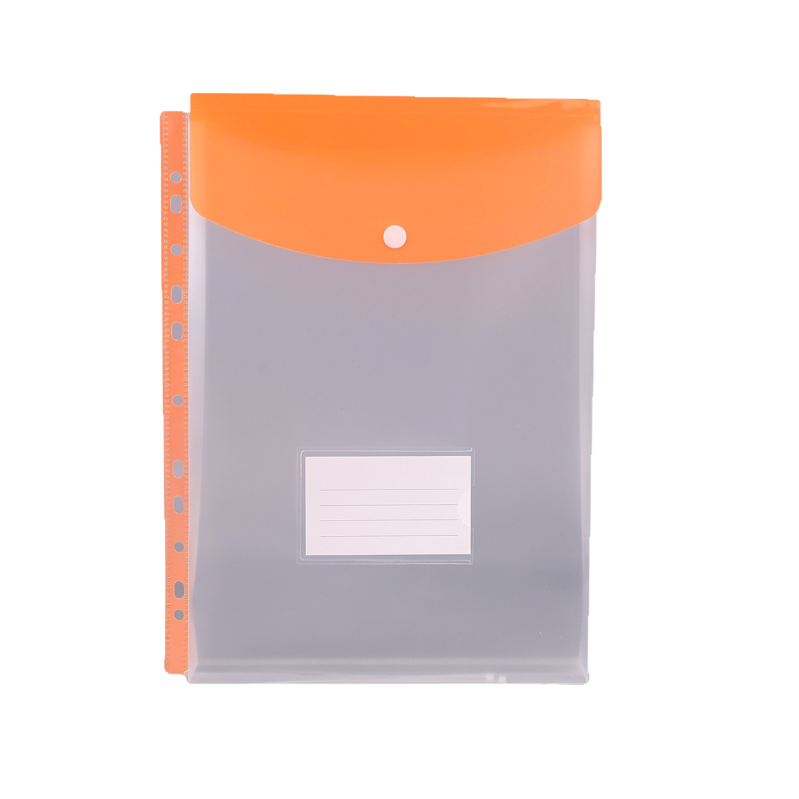 Picture of Cross-Border Hot-Selling Vertical Data Storage File Bag A4 11-Hole Loose-Leaf File Bag Pp Snap Plastic File Bag
