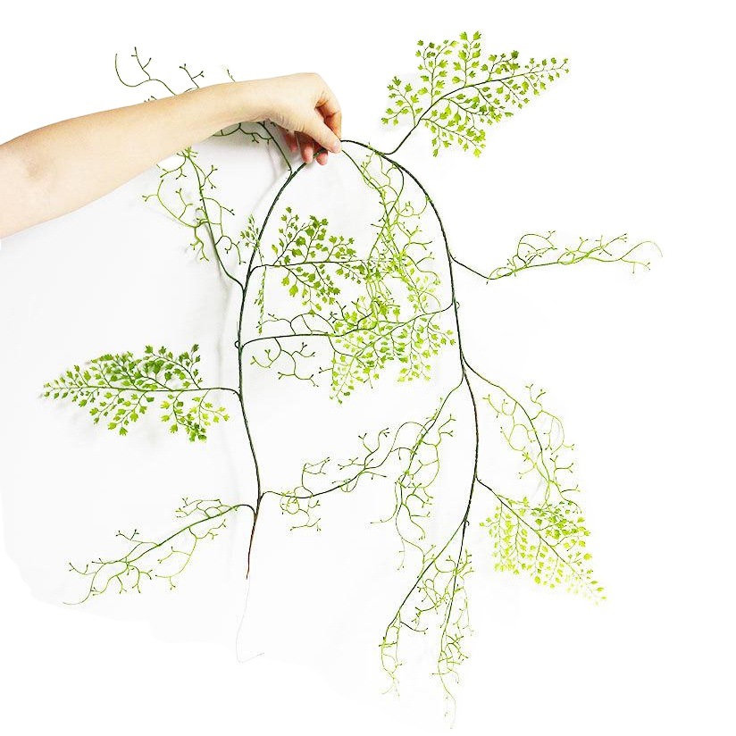 Simulation Green Leaf Rattan Black Bone Mon Vine False Fern Vine Pipe Winding Decoration Shade Scene Cloth Landscape