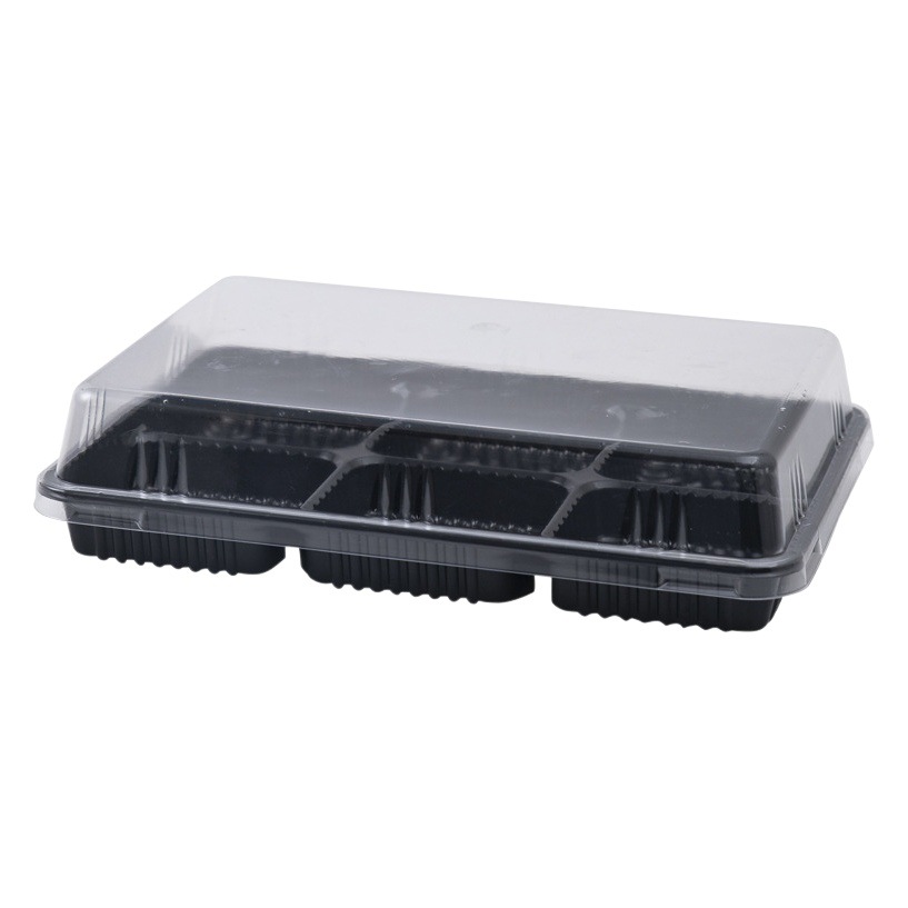 6 Pack Egg Yolk Crisp Blister Box Pork Flax Beckham Puff Transparent Packaging Box Net Celebrous Baking West Point Packaging Box