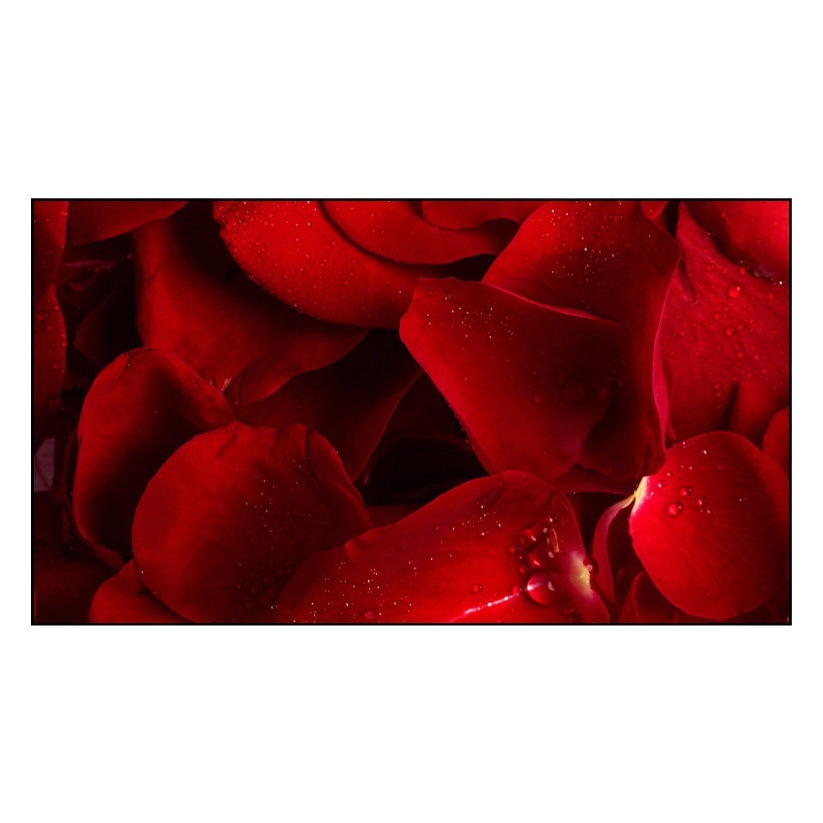 Led Display Indoor Soft Mold Hd Full Color Led Display Screen Stage School Outdoor Rental Screen