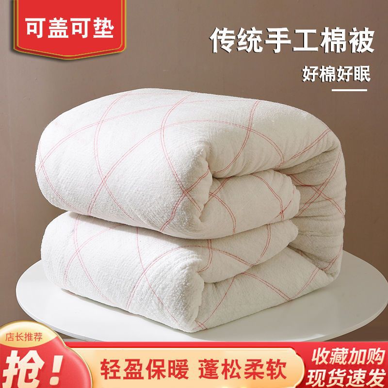 Picture of Single quilt quilt double bed quilt core dormitory bedding winter quilt winter wholesale hot
