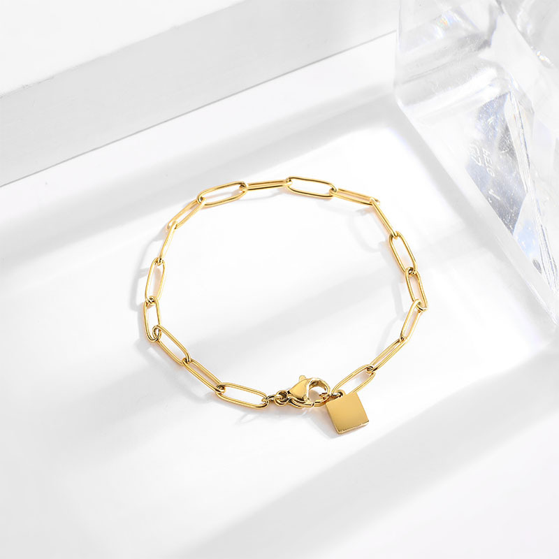 Japanese and Korean Style Simple Thick Chain Small Square Brand Bracelet Design Sense Niche Titanium Steel 18k Gold Niche Cold Fashion Bracelet
