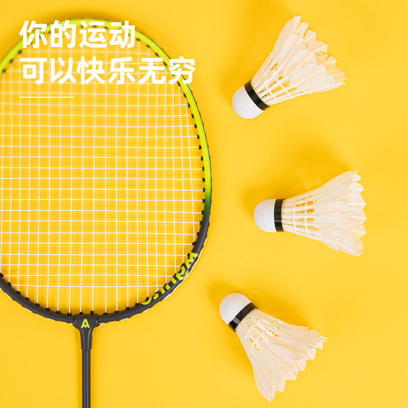 Picture of Angnete F2202S Badminton (white)(12 PCs/tube)