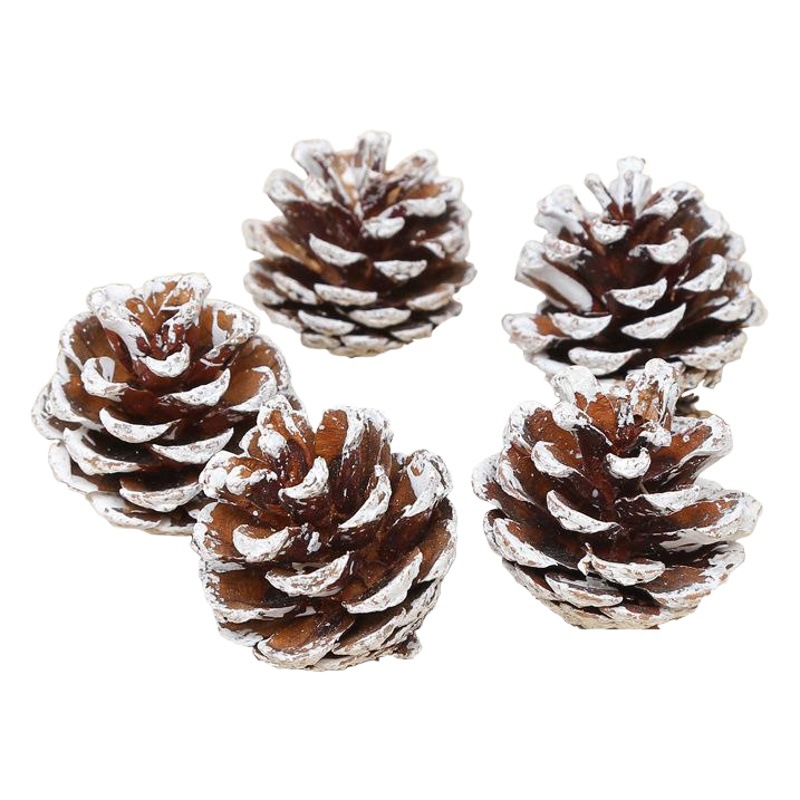 Hong Kong Love Cedar Fruit Decorative Pendant Snowflake Pine Tower Christmas Decorative Dried Flower Ornaments Dye White Pine Fruit with White Pine Fruit
