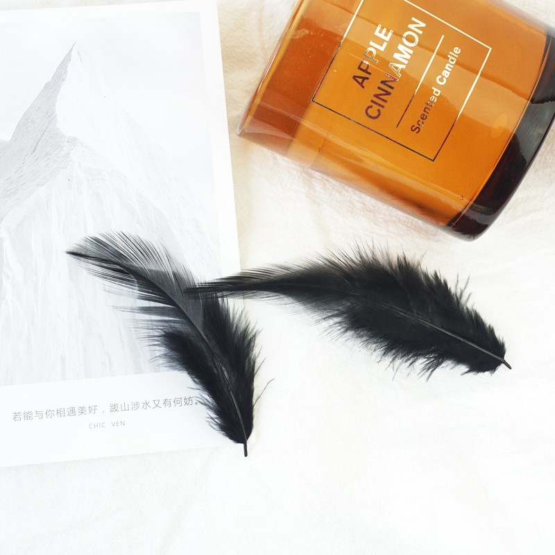 Picture of Factory wholesale funny cat stick feather diy cat toy color red pointed pheasant feather crafts jewelry decoration materials