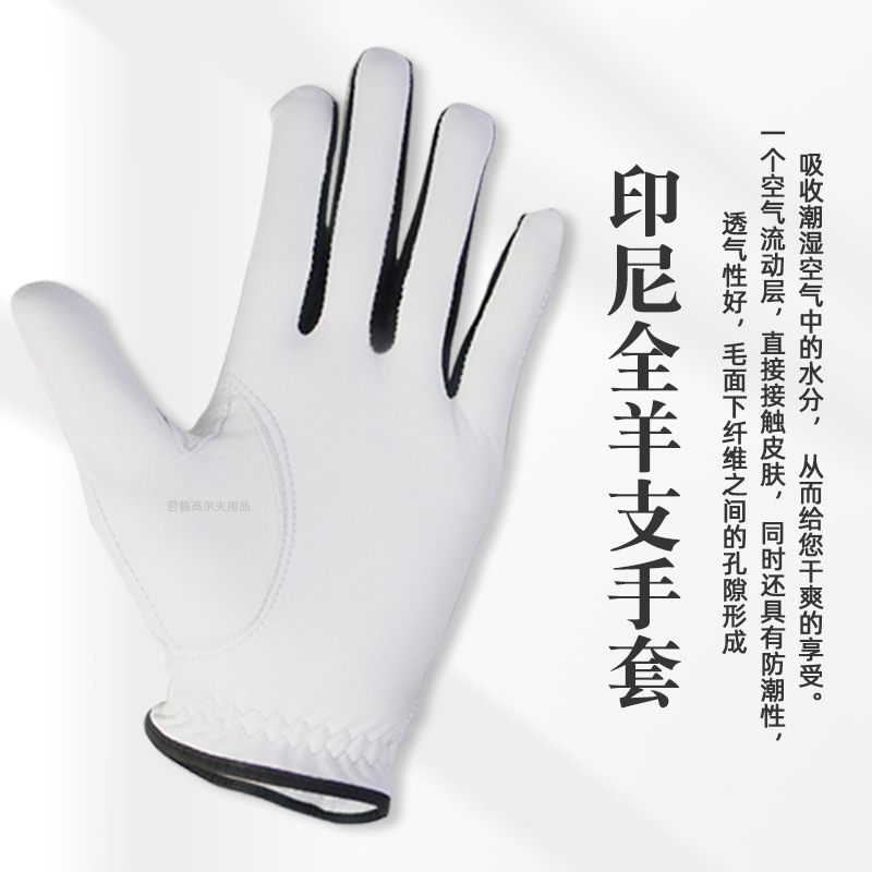 Picture of Men's Golf Gloves DRI-FIT TOUR Indonesian Lambskin Soft Leather Full Lambskin Men's Left Hand Single