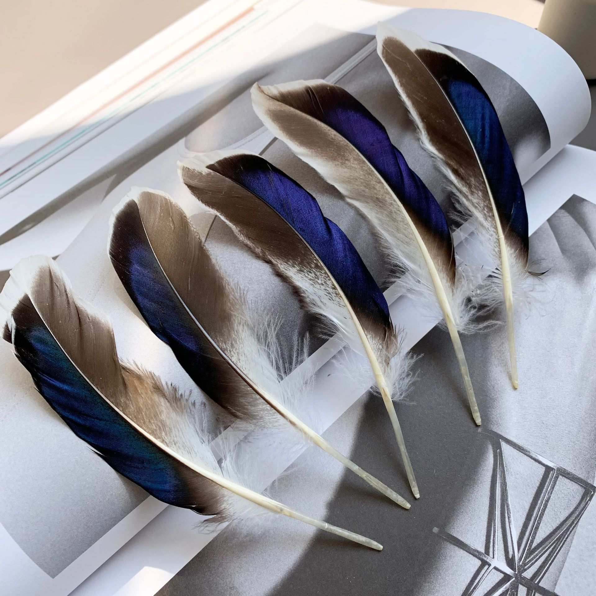 Picture of in stock wholesale diy feather natural duck feather green feather jewelry white head color wild duck feather duck feather green feather