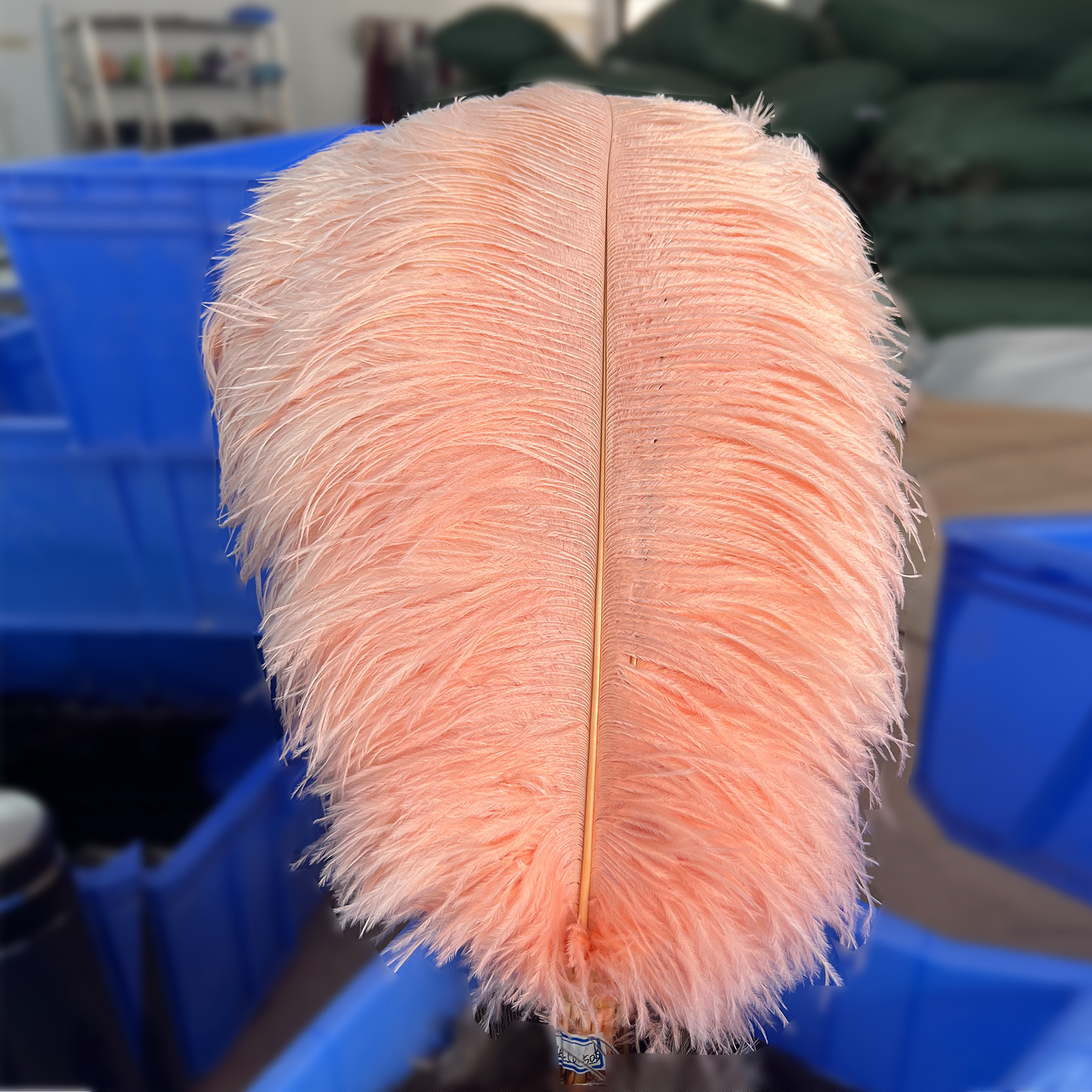 45-50cm Thin Ostrich Feathers Wholesale Manufacturer in Stock Wedding Decoration Feathers DIY Crafts Stage Costume Feathers