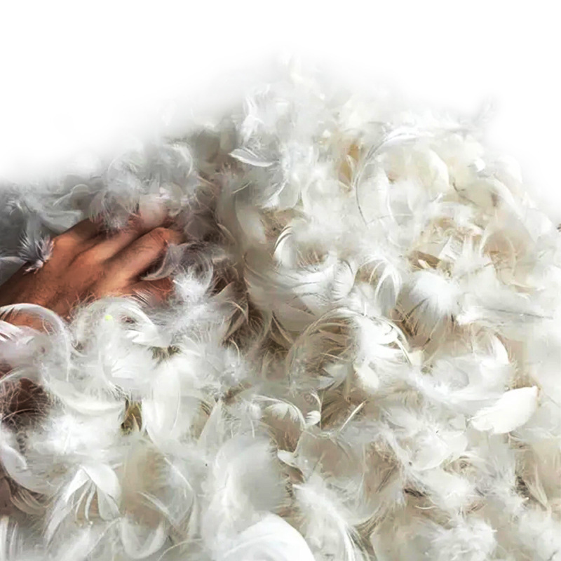 Picture of New national standard 90% plain white washed goose down jacket clothing filler feather white goose down sample no peculiar smell