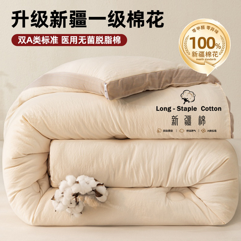 Cotton Quilt Spring & Fall Quilt Winter Quilt Quilt Pure Cotton Thickeneded Warm Pure Cotton Quilt Core Single Summer Cool Air-Conditioned Quilt