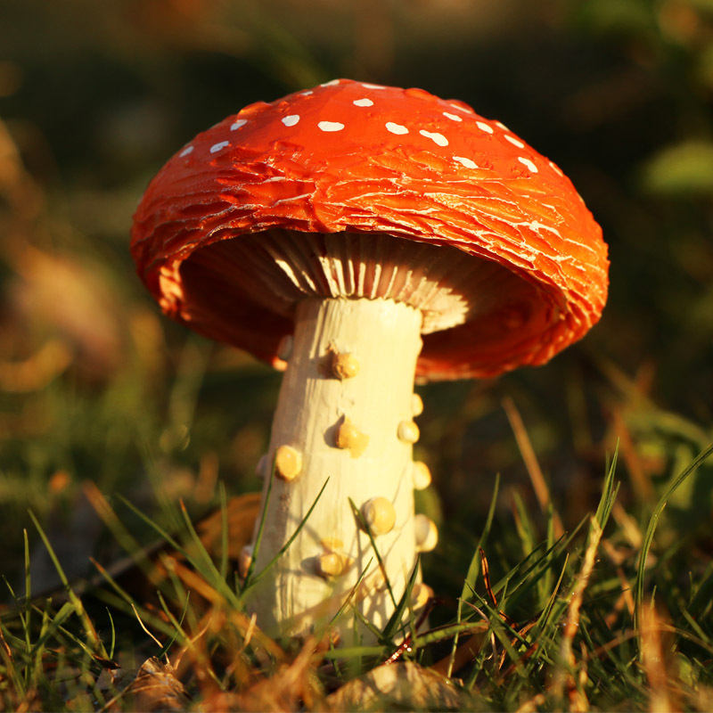 Picture of Cross-border Outdoor Courtyard Ornaments Landscape Decorations Garden Bonsai Decoration Simulation Mushroom Micro-landscape Decoration