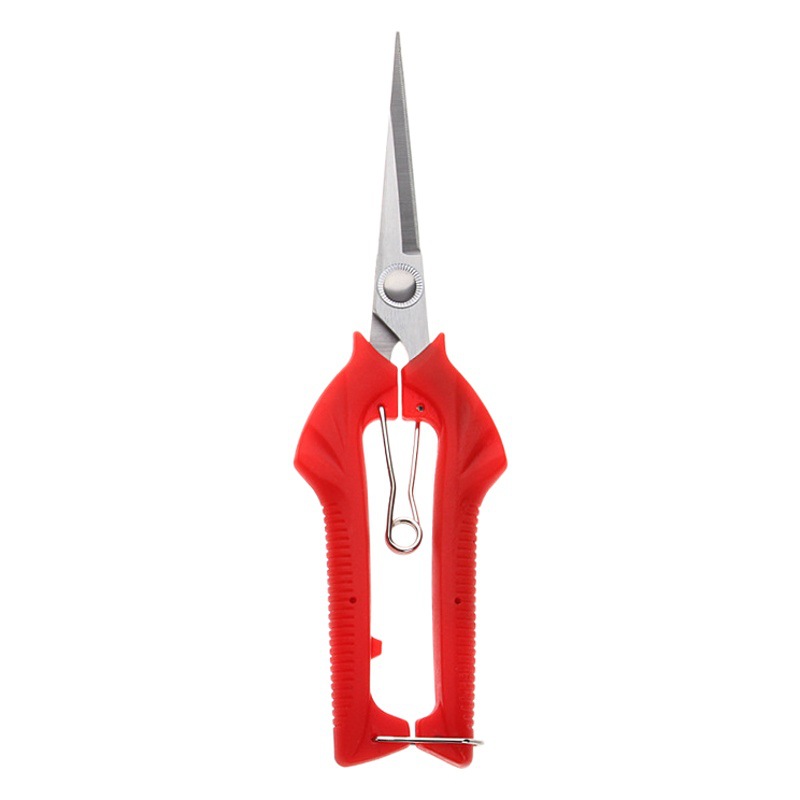 Picking fruit scissors stainless steel thin fruit scissors picking fruit tree branches pruning bonsai tool scissors fruit and vegetable scissors manufacturers wholesale
