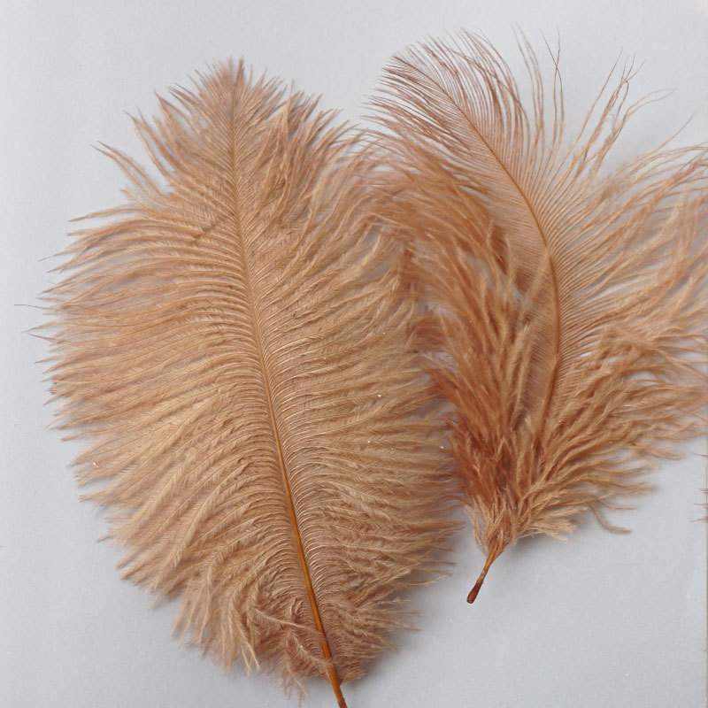Picture of 10-15cm ostrich hair source factory bouquet wedding decoration feather wall handmade DIY crafts stage clothing
