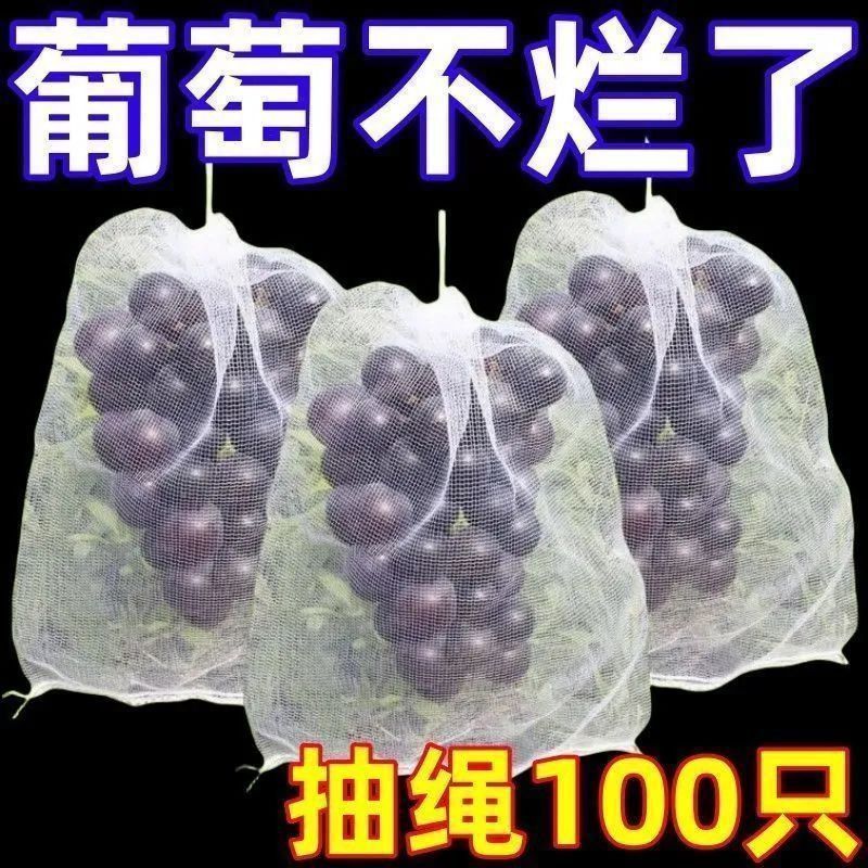 Orchard Light-Transmitting Mesh Bagging Fruit Insect-Proof Breathable Wire Mesh Bag Fig Tomato Grape Anti-Bird Special