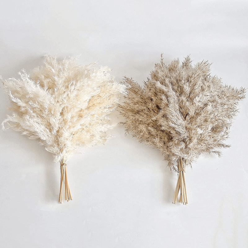Picture of Cross-border Hot Sale Bohemian Style Decoration Fluffy Pampas Grass Natural Pampas Decorative Dried Flower bouquet