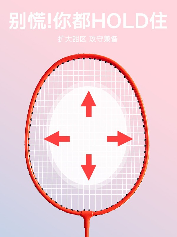 Picture of SOURCE Factory genuine goods badminton racket high elasticity adult double racket 2 rackets multi-color optional delivery