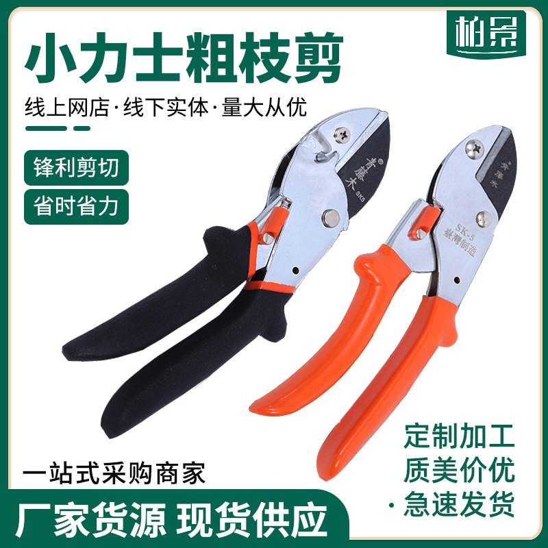 Manufacturer Ivy Wood Flower Tree Thick Branch Shears Lux Shears Garden Tools Fruit Tree Labor-Saving Fruit Branch Shears Thick Branches and Seconds Shears Florals