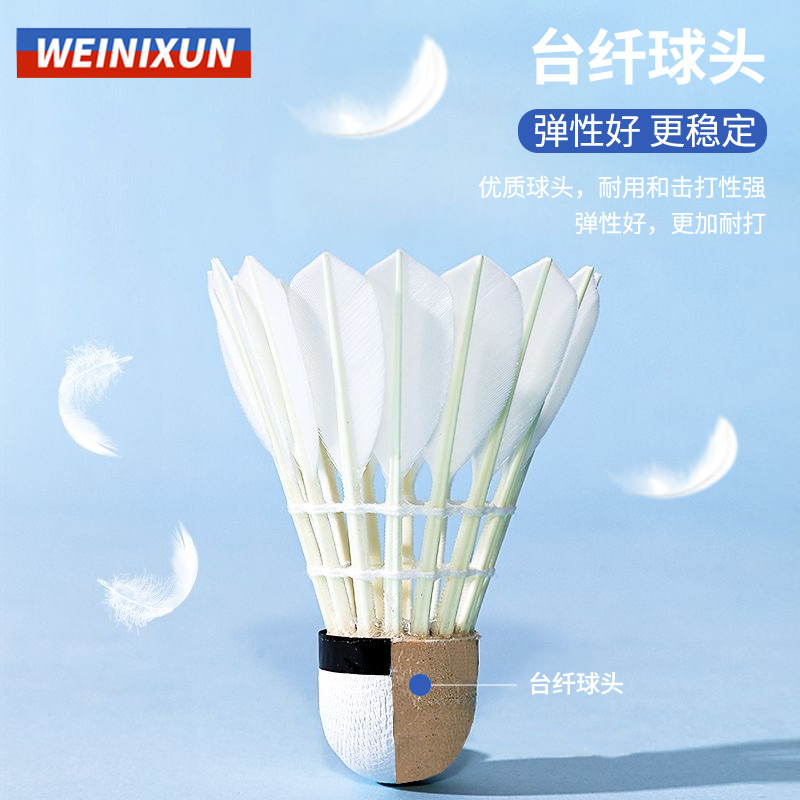 Picture of Winison Training Hard Ball Head Badminton 12 Pack Entertainment with a Large Quantity and Excellent Price in stock
