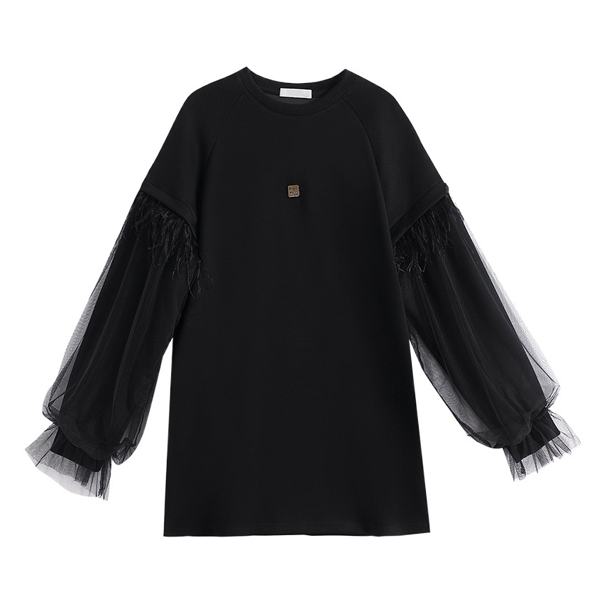 Picture of Real Shot of Casual Mesh Black Sweatshirt for Women, 2025 Autumn New European Style, Plus Size, Loose Long-Sleeve Top, Trendy