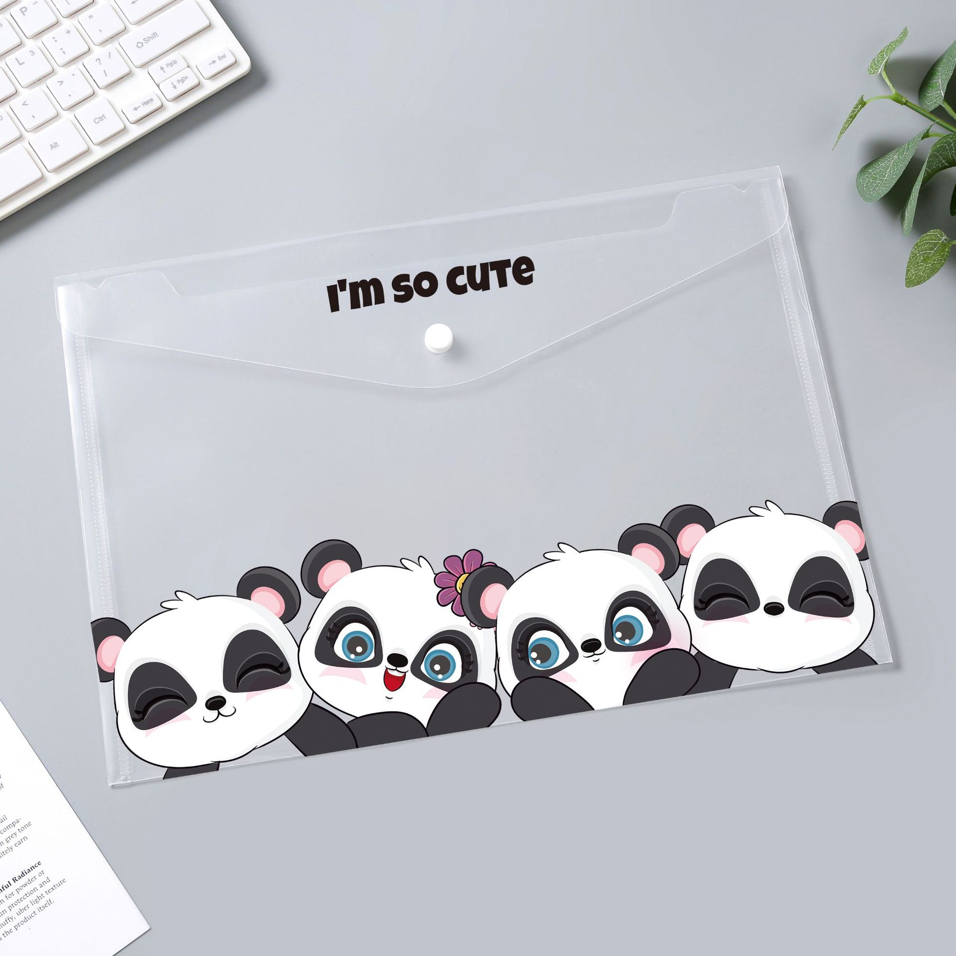 Picture of Transparent snap file bag a4 a5 pp plastic student file storage bag color folder wholesale can be set