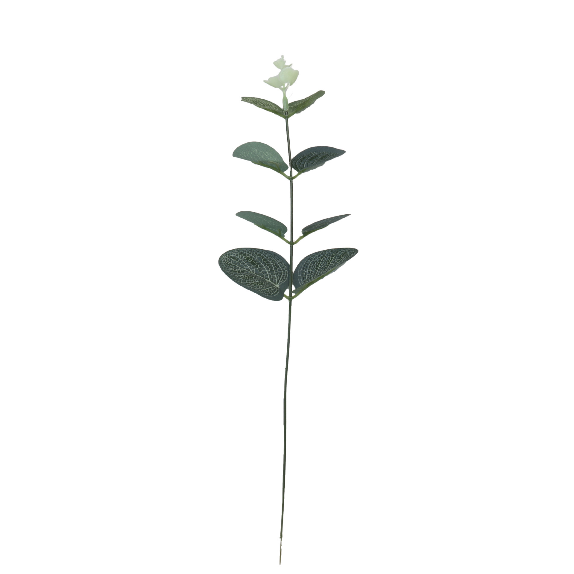 Picture of Amazon Simulation Single Money Leaf Eucalyptus Green Plant Wall Wedding Photography Photo Props High Artificial