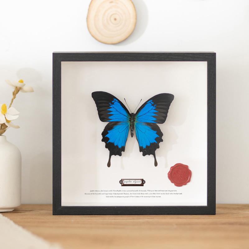 Hollow three-dimensional butterfly dried flower leaves photo frame DIY shell conch decorative picture frame factory lighting painting specimen frame