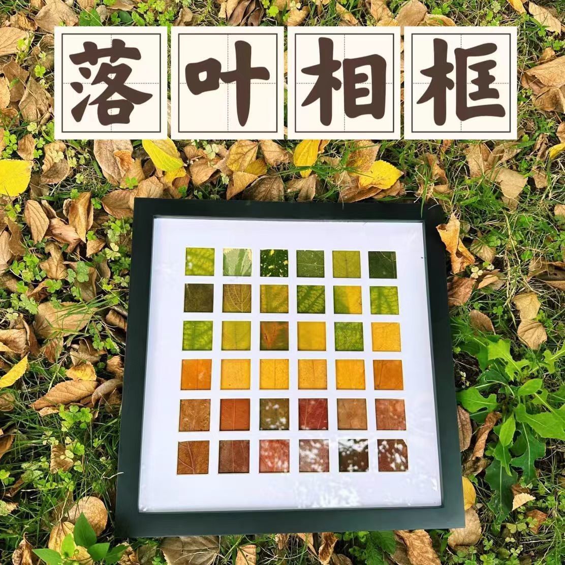 Fallen Leaves Photo Frame 48/36 Palace Diy Leaf Specimen Frame ins Design High Color Value Parent-Child Handmade Specimen Table