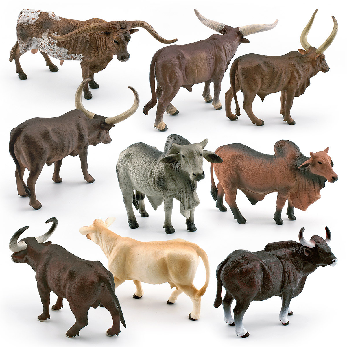 Picture of Source manufacturer simulation Texas Longhorn cattle Vatusi cow tumor cattle Charolais cattle Gore cattle model
