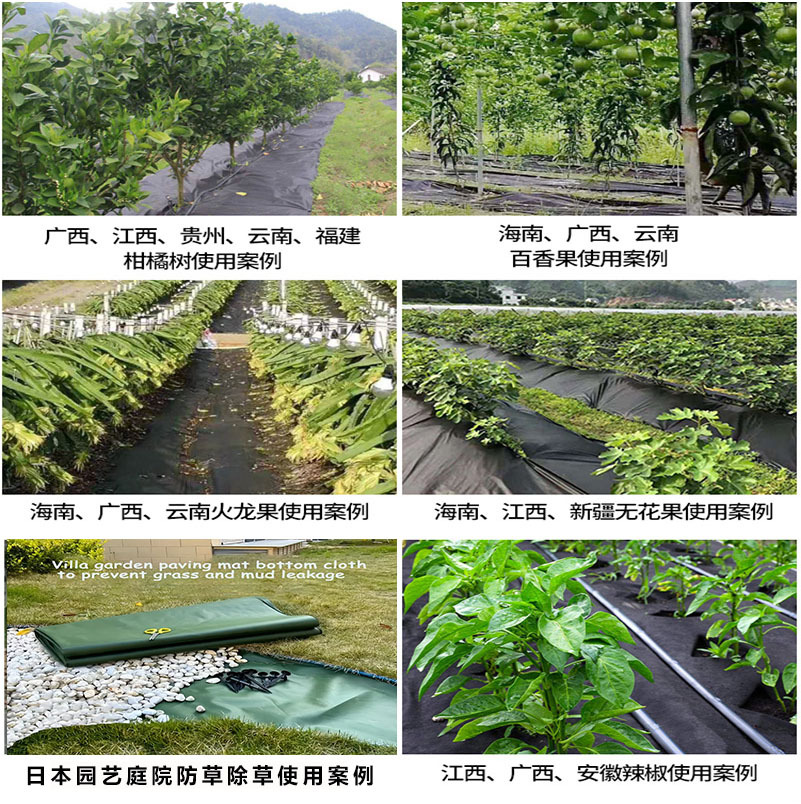 Picture of Black polypropylene PP weed control fabric, water-permeable, breathable, biodegradable, hot-selling cross-border agricultural laminated non-woven fabric