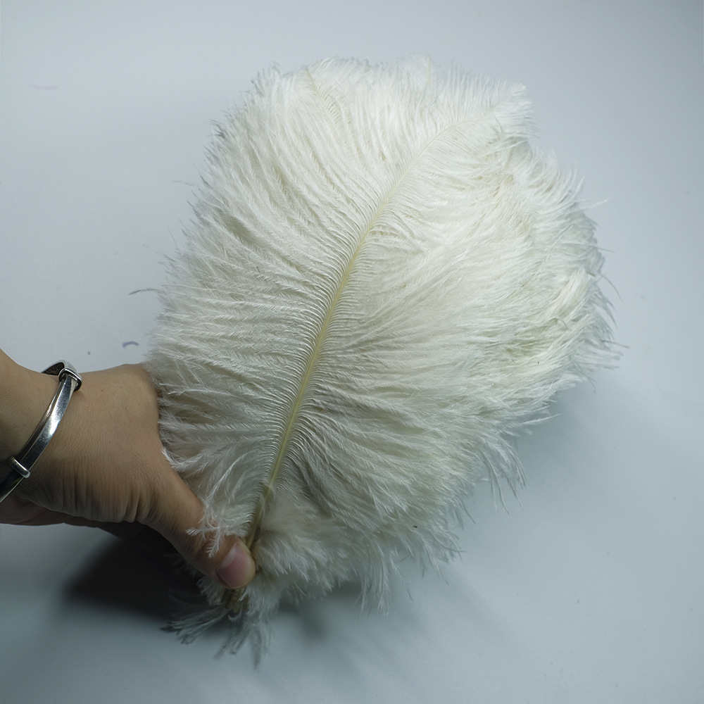 Picture of Color in stock 20-25cm ostrich feather flower home flower arrangement wedding decoration accessories ostrich feather wholesale