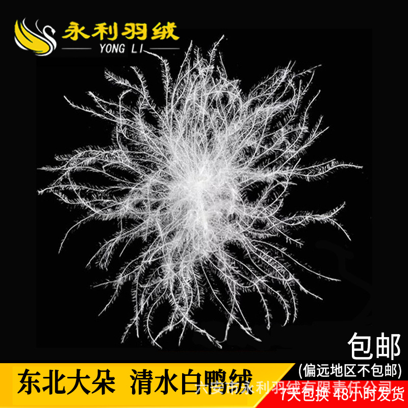 Factory wholesale northeast big clear water washed white goose down new national standard down high-canopy pine big 98 white goose down