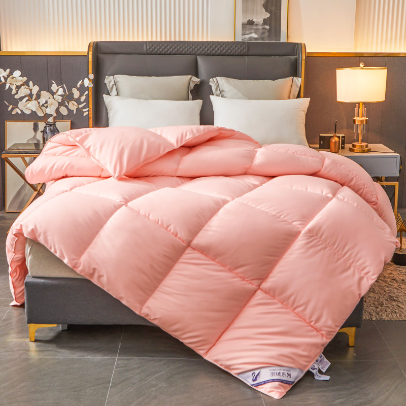 Picture of genuine goods Feather Velvet Quilt Spring and Autumn Quilt Thickened Gift Winter Quilt Down Quilt Cold-proof Warm Thick Quilt for Student Dormitory