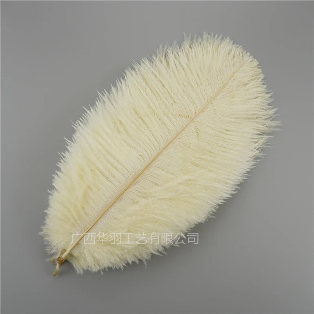 Picture of 10-15cm ostrich hair source factory bouquet wedding decoration feather wall handmade DIY crafts stage clothing