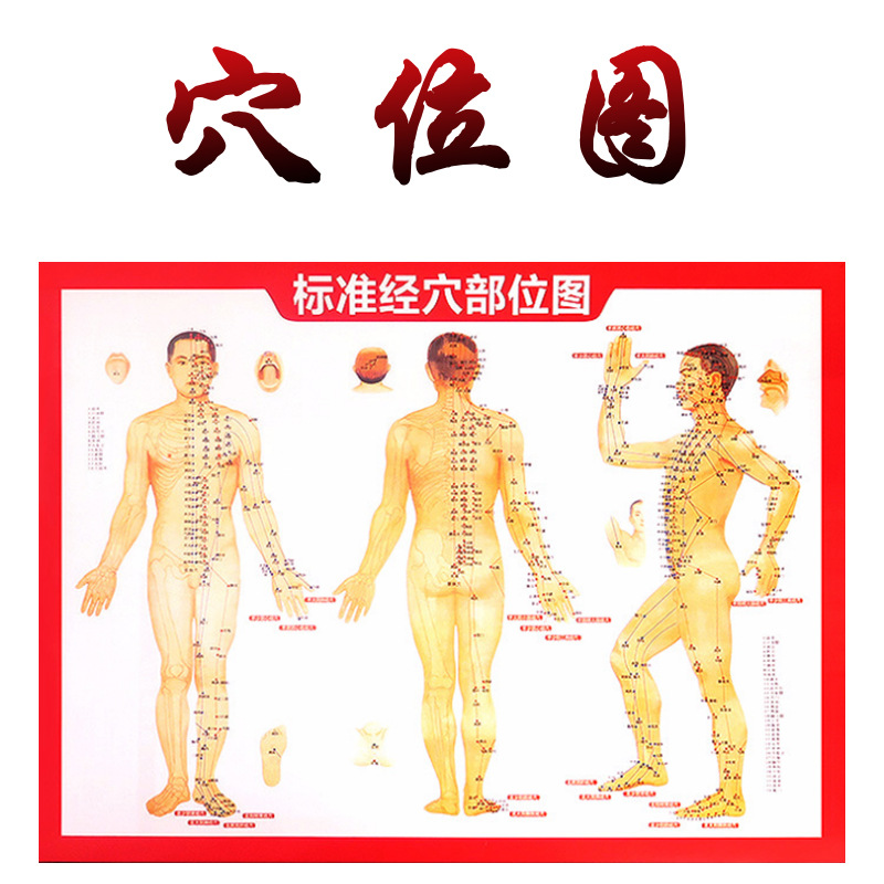 Human body Meridian acupoint map moxibustion book description map double-sided printing according to acupoint map moxibustion map acupuncture map