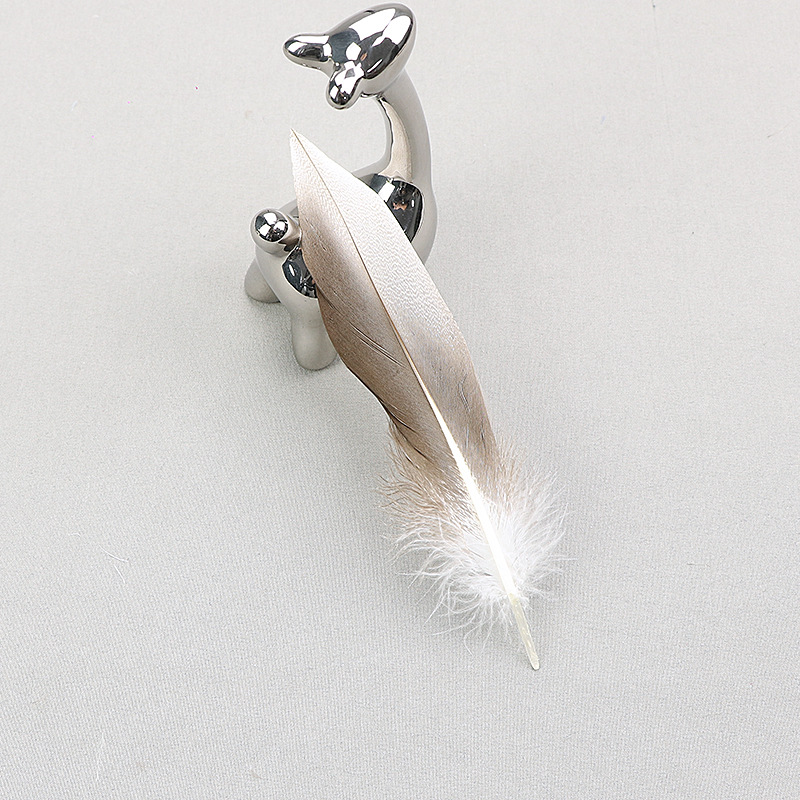 Picture of natural wild duck black pointed wild bird feather wild duck feather diy corrugated clothing accessories small feather