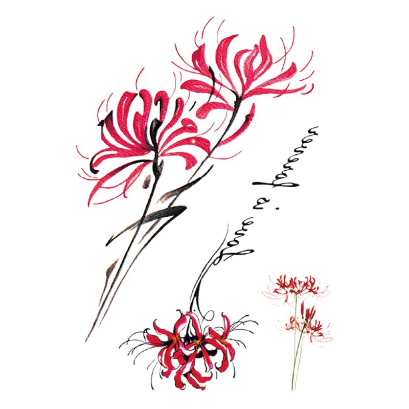 Spot Cross-Border New Half-Arm Tattoo Stickers Black Animal Waterproof Tattoo Color Waterproof Sweat Temporary Tattoo Stickers